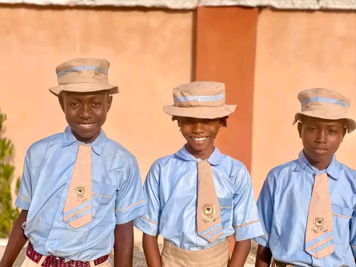 De Progressive Child Academy, Dengi website showcase