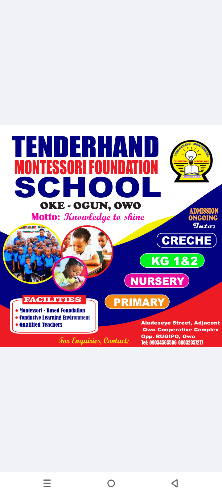 Tenderhand Montessori Foundation School website showcase